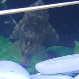 20160310_063759.jpg